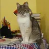 Отзыв от Лера Леонова